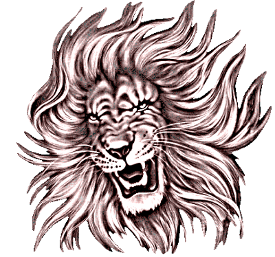 lion